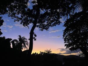a silhouette of a tree with a sunset in the background at Casa Botanique Jungle Retreat in Abraão