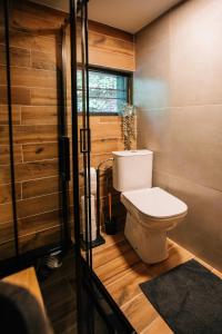 a bathroom with a toilet and a window at Naše chata in Ostrolovský Újezd +44 photos