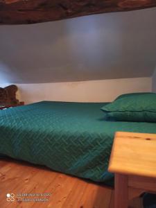 a bed with green sheets and pillows in a room at Gite à Valleraugue Gard Cevennes in Valleraugue