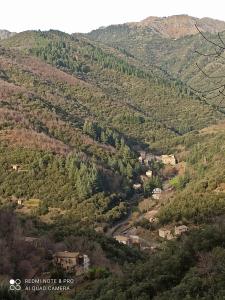 a view of a mountain valley with houses and trees at Gite à Valleraugue Gard Cevennes in Valleraugue