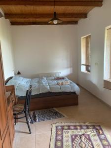 a bedroom with a bed and a desk and a chair at Nukriani Keiptauni Residence in Sighnaghi
