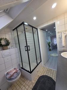 a bathroom with a glass shower and a toilet at Lovely Home For You 2 in Biberach an der Riß +13 photos