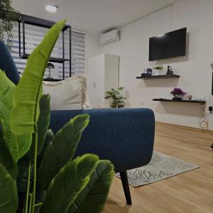 a living room with a blue chair and a plant at Sarajevo s Secret -Airport Apartment East Sarajevo in Donje Mladice