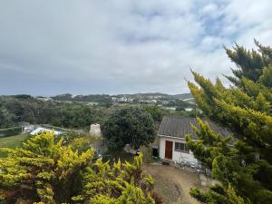 an aerial view of a house with trees at Rivers Rest in Seafield
