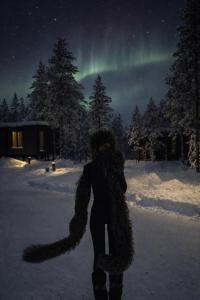 a person standing in the snow under the northern lights at NOA VILLAS Aurora Lapland Resort in Takala