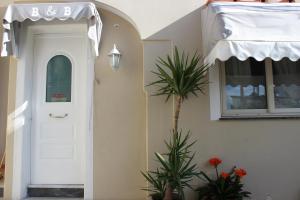 a white door with a palm tree next to a building at B&B Raggi d'Ischia - nuova gestione 2026 in Casamicciola Terme