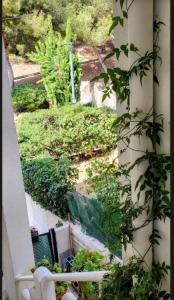 a view of a garden from a balcony with plants at Le paradis bleu azur in Ensuès-la-Redonne