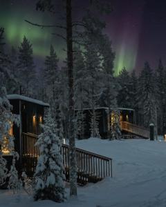 a cabin under the northern lights in the snow at NOA VILLAS Aurora Lapland Resort in Takala