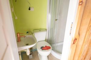 a small bathroom with a toilet and a sink at Лісова Хатка in Parowa
