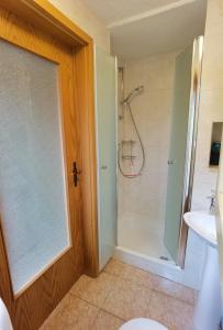 a bathroom with a shower and a sink at Finnhütte Tanne in Tanne