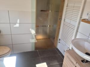 a bathroom with a shower and a sink at Sonniges Sundchalet in Stralsund +13 photos