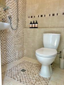 a bathroom with a white toilet and a sink at Mews Cottage in Torquay +16 photos