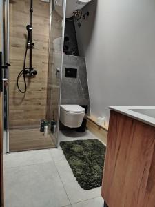 a bathroom with a shower and a toilet and a sink at Lake House Jeziorsko in Ostrów Warcki