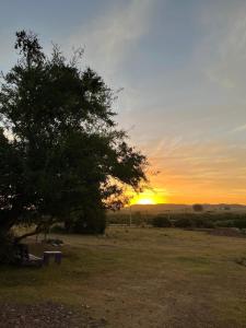 a sunset with a tree and a bench in a field at Don Cleto "La Mimosa" in Aiguá +7 photos