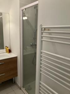 a bathroom with a shower with a glass door at Le 20 Joliot-Studio moderne in Mions