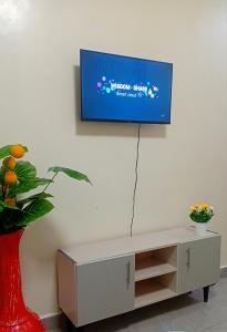 a television on a wall with a red vase and a plant at Jayson Homes in Thika