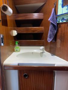 a bathroom with a sink and a bottle of soap at Nuits sur un voilier in Pointe-à-Pitre