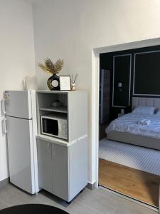a bedroom with a bed and a microwave on a shelf at Studio Yas Central Arad in Arad