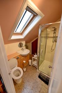 a bathroom with a toilet and a shower and a sink at Burnside Guest House in Ayr