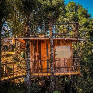 a tree house in the middle of trees at Biciting Casita en el Árbol con Terraza in Mineral del Chico +13 photos