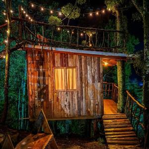 a tree house in the woods with lights on it at Biciting Casita en el Árbol con Terraza in Mineral del Chico