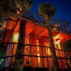 a tree house lit up at night at Biciting Casita en el Árbol con Terraza in Mineral del Chico