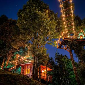 a tree house lit up at night with christmas lights at Biciting Casita en el Árbol con Terraza in Mineral del Chico