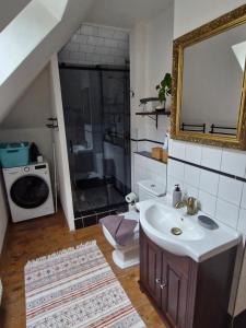 a bathroom with a sink and a shower and a toilet at Apartmány Saxana in Smržovka