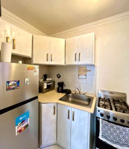 a small kitchen with a sink and a refrigerator at Moderno Apartment Near the Ocean Santo Domingo Este Wife ,AC in La Francia
