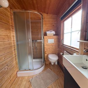 a bathroom with a shower and a toilet and a sink at Armuli in Reynistaður