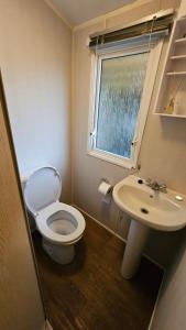 a bathroom with a toilet and a sink and a window at Maison de Lucie à Tholen in Poortvliet