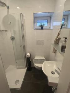 a bathroom with a shower and a toilet and a sink at Casita 2 in Essenbach