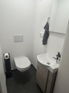 a white bathroom with a toilet and a sink at Casita 2 in Essenbach