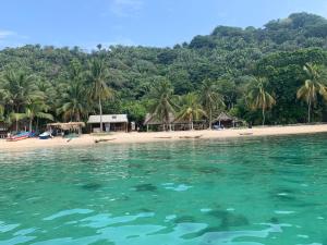 a beach with a group of palm trees and the water at Cabañas Ecológicas in Tela in Tela