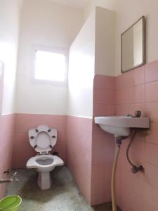 a pink bathroom with a toilet and a sink at Shri Gita Hotel in Raipur