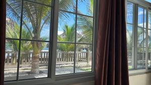 a window with a view of a palm tree at La casa de Fercho in Sipacate