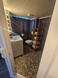 a small bathroom with a toilet and a sink at Koselig enebolig i Sentrum in Egersund