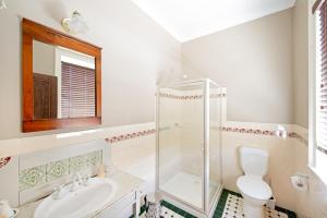 a bathroom with a shower and a sink and a toilet at The Globe Inn in Yass