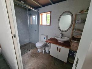 ein Badezimmer mit Toilette, Waschbecken und Spiegel in der Unterkunft Backyard Nook in South West Rocks