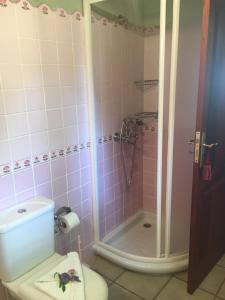 een badkamer met een douche, een toilet en een wastafel bij Casa Gusber 2 in La Rosa