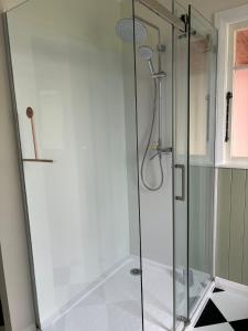 a shower with a glass door in a bathroom at Sanctuary Cottage in Karapiro +20 photos