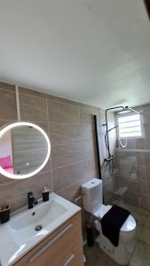 a bathroom with a sink and a mirror and a toilet at Canopée Créole in Petit-Canal