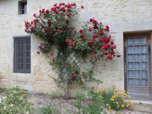 a bunch of red roses on the side of a building at La Roseraie in Romagne