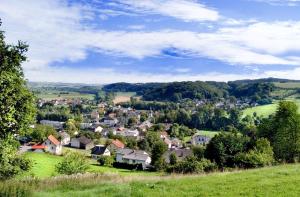 una pequeña ciudad en un valle verde con casas en Hotel-Restaurant Im Goldenen Grund en Körperich