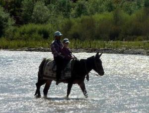 a man and a child riding a horse through a river at Kasbah des roses in Aït Saïd