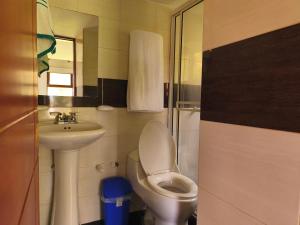 a small bathroom with a toilet and a sink at Cabaña Turistica Tunwacogua in Nobsa +24 photos