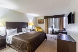 a hotel room with a bed and a desk at Clarion Inn near McAllen Airport in McAllen +25 photos