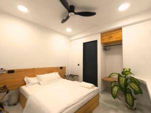 a bedroom with a bed and a ceiling fan at Oceana Surf Maldives - Kudahuvadhoo Island Surf Retreat in Kudahuvadhoo