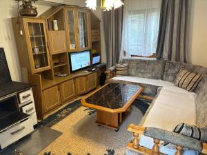 ein Wohnzimmer mit Sofa und Fernseher in der Unterkunft Vikendica Delfin Durakovici-Trnovo in Grahovište