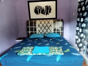 a bedroom with a blue bed with blue pillows at Monkey Business Tours & Accommodation in Bukit Lawang +3 photos
